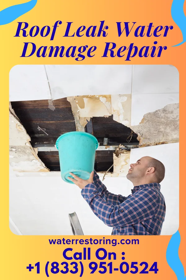 Roof Leak Water Damage Repair in Hyde Park, UT