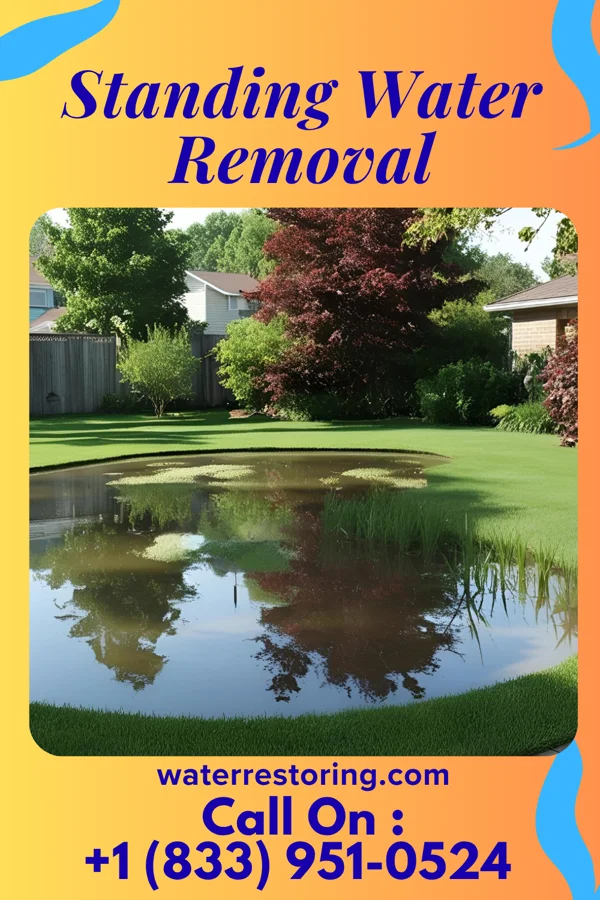 Standing Water Removal in Hyde Park, UT